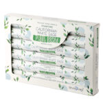 Stamford Premium Plant Based Hex Incense Sticks - Californian White Sage